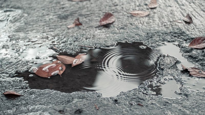 puddle-reflection