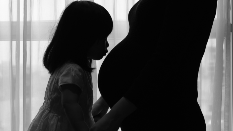 Photo by Mulyadi on Unsplash