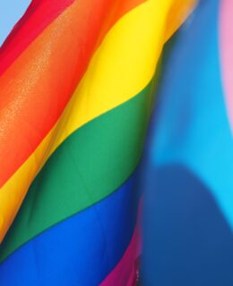 pride-flags